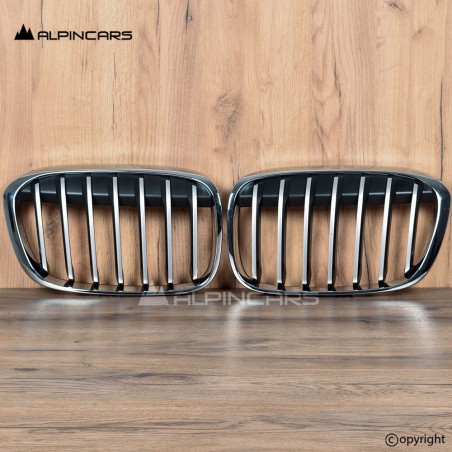 BMW X1 F48 F49 OEM Grille front left and right